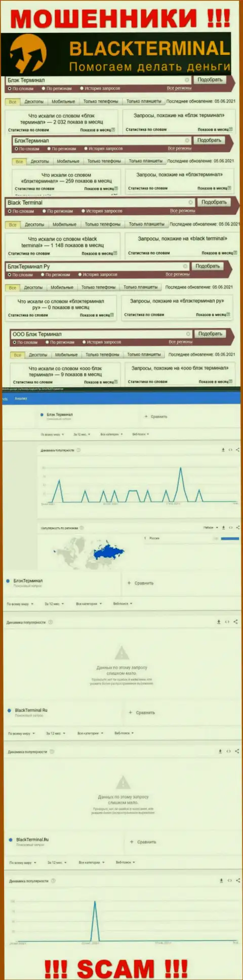 Количество online-запросов данных об разводилах BlackTerminal Ru во всемирной интернет сети