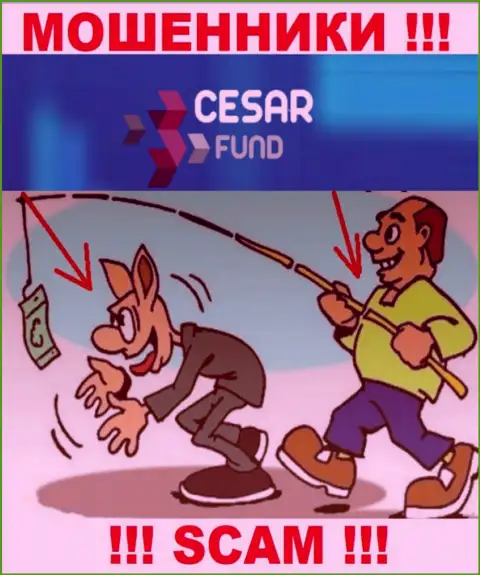 Ворюги Cesar Fund в поисках очередных лохов