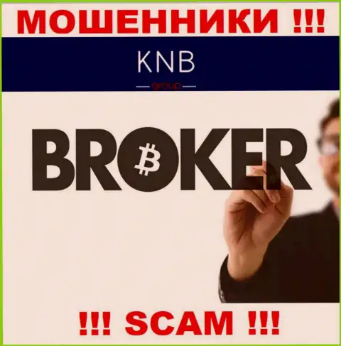 Broker - конкретно в этом направлении оказывают свои услуги internet-мошенники KNB Group Limited
