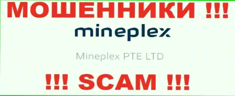 Владельцами MinePlex является компания - Mineplex PTE LTD