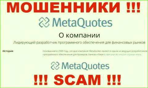 Разработка программного обеспечения - конкретно в указанном направлении предоставляют свои услуги мошенники MetaQuotes Net