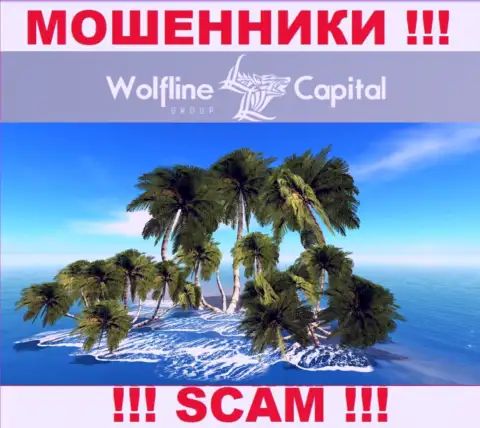 Мошенники Wolfline Capital не показывают правдивую информацию относительно своей юрисдикции