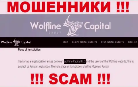 Юридическое лицо компании Wolfline Capital - это Wolfline Capital LLC