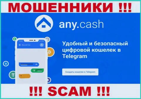 Any Cash - это шулера, их деятельность - Криптовалютный кошелек, направлена на присваивание денег людей