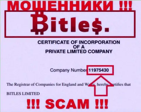 Номер регистрации интернет-мошенников Bitles, с которыми очень рискованно работать - 11975430