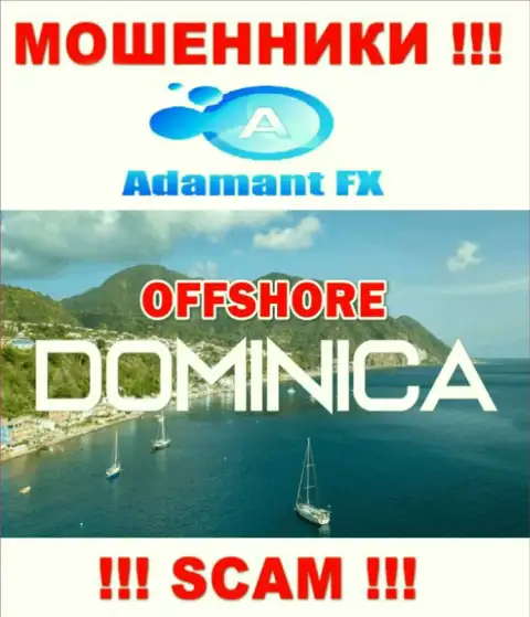 Адамант ФИкс беспрепятственно обувают, ведь обосновались на территории - Доминика