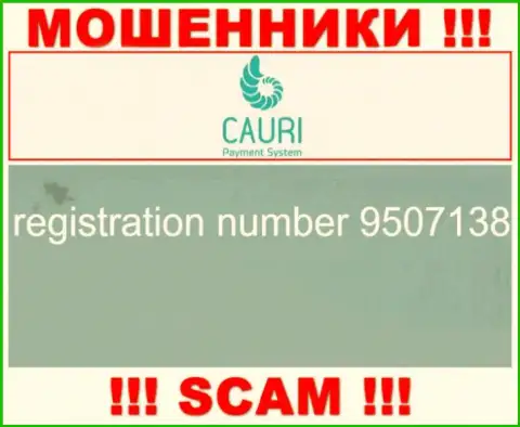 Регистрационный номер, принадлежащий преступно действующей конторе Каури Ком: 9507138