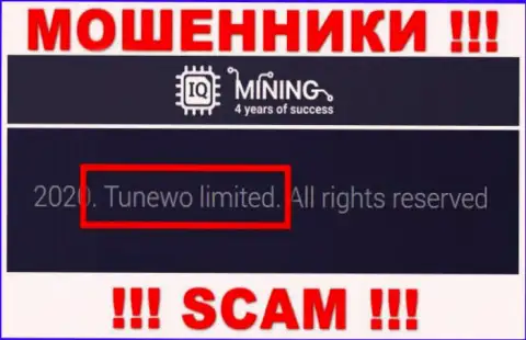 Махинаторы АйКьюМайнинг сообщили, что Tunewo Limited управляет их лохотронном