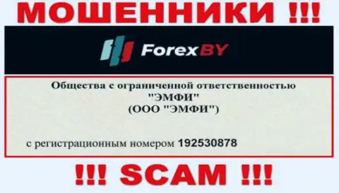 На сайте мошенников Forex BY размещен этот регистрационный номер указанной конторе: 192530878