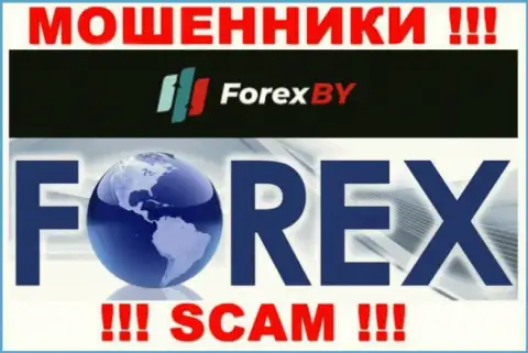 Будьте крайне внимательны, род работы Forex BY, Форекс - это кидалово !!!