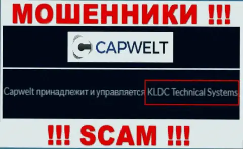 Юридическое лицо организации CapWelt - это КЛДЦ Техникал Системс, информация взята с официального онлайн-сервиса