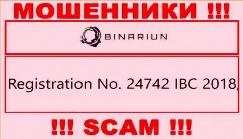 Номер регистрации организации Binariun Net, которую нужно обходить десятой дорогой: 24742 IBC 2018