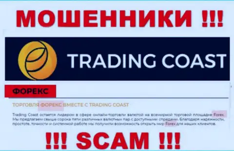 Вид деятельности Trading Coast: Форекс - отличный доход для интернет обманщиков