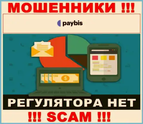 У PayBis на web-портале не имеется инфы об регуляторе и лицензии компании, значит их вовсе нет