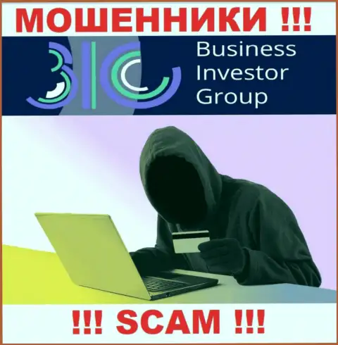 Не доверяйте ни одному слову представителей BusinessInvestorGroup, они интернет-аферисты