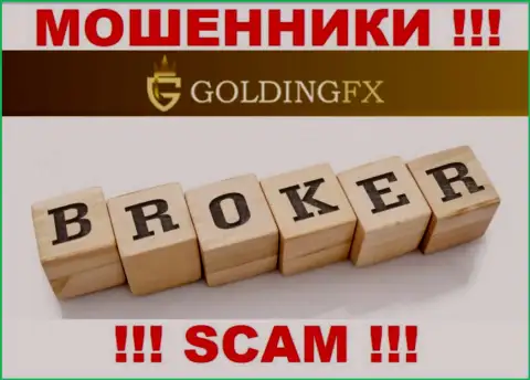 Broker - это именно то, чем занимаются разводилы Golding FX