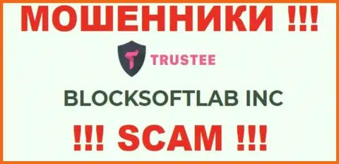 Trustee Wallet - это МОШЕННИКИ !!! Управляет указанным лохотроном BLOCKSOFTLAB INC