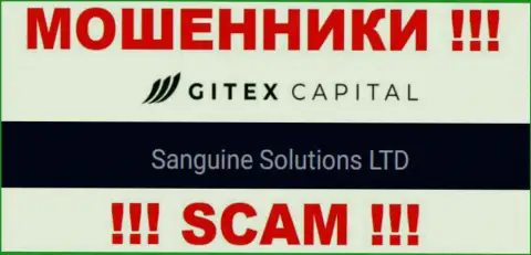 Юридическое лицо ГитексКапитал Про - это Sanguine Solutions LTD, такую информацию показали воры на своем сервисе