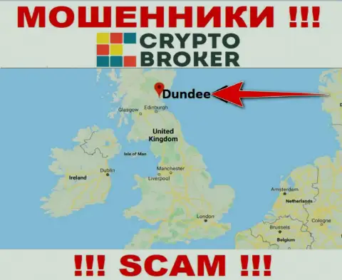 CryptoBroker свободно надувают, так как зарегистрированы на территории - Данди, Шотландия